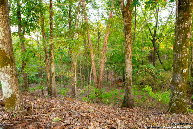 Image 11 of 34 For 14926 County Road 438