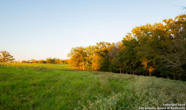 Image 12 of 34 For 14926 County Road 438