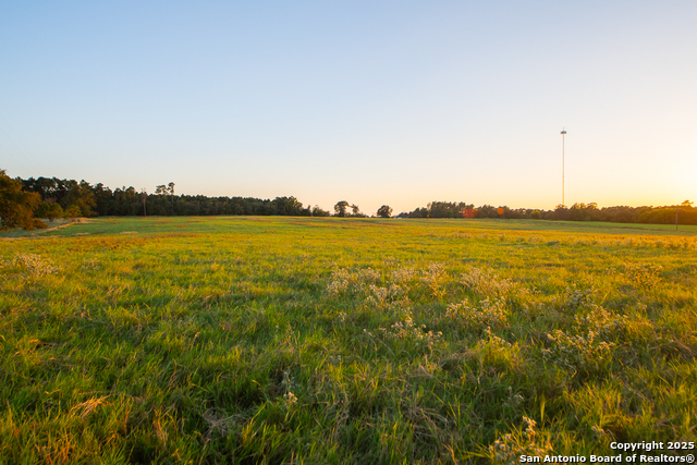 Image 13 of 34 For 14926 County Road 438