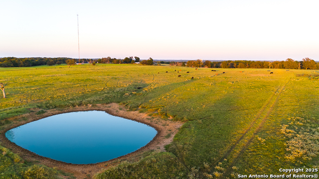 Image 16 of 34 For 14926 County Road 438