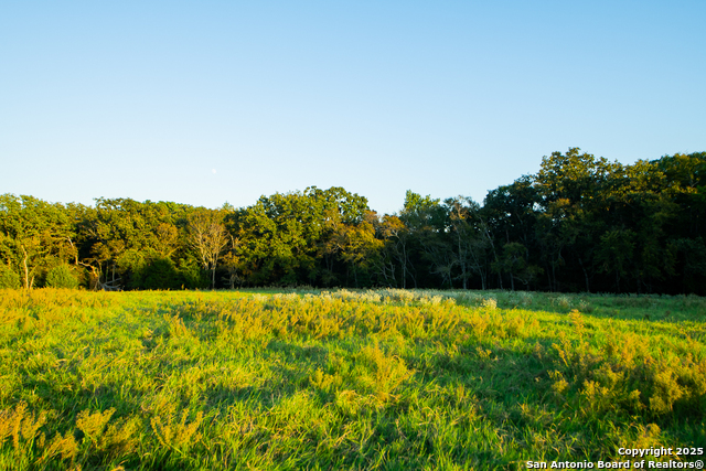 Image 2 of 34 For 14926 County Road 438