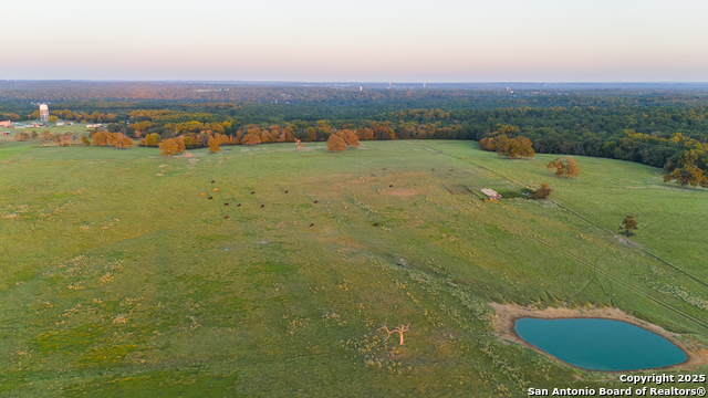 Image 20 of 34 For 14926 County Road 438