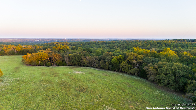 Image 21 of 34 For 14926 County Road 438