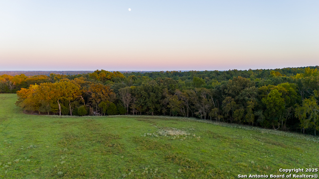 Image 22 of 34 For 14926 County Road 438