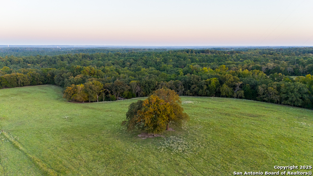 Image 25 of 34 For 14926 County Road 438