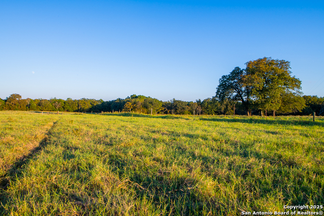 Image 4 of 34 For 14926 County Road 438