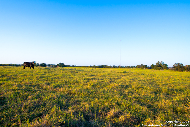 Image 5 of 34 For 14926 County Road 438