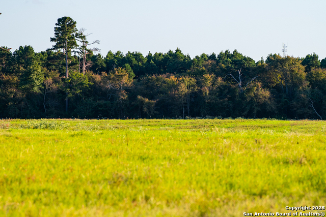 Image 7 of 34 For 14926 County Road 438