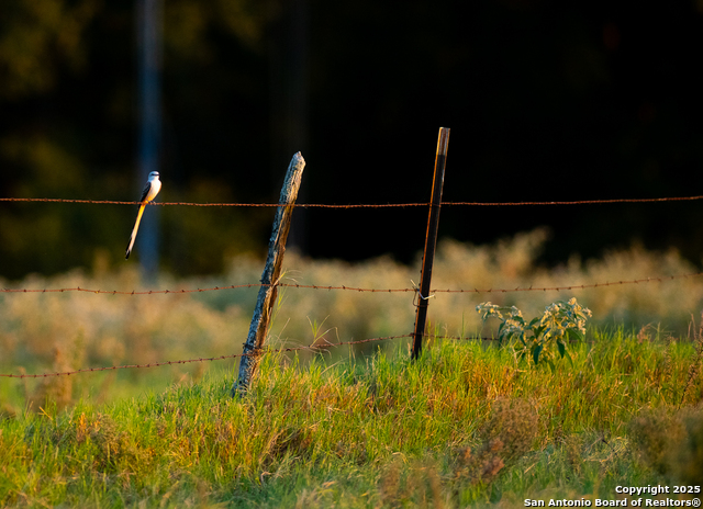 Image 8 of 34 For 14926 County Road 438