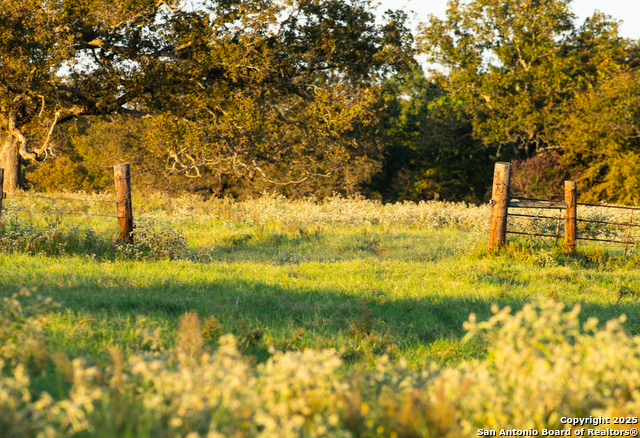 Image 9 of 34 For 14926 County Road 438