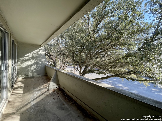 Listing photo id 38 for 3103 Eisenhauer J3