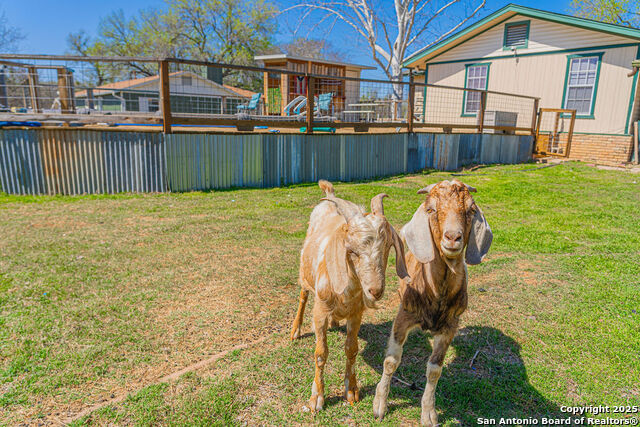 Listing photo id 22 for 10544 Macaway