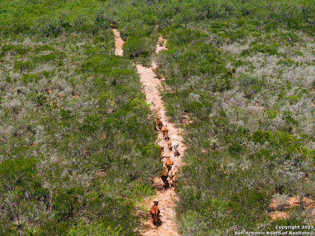 Details for 4700 Fm -3196, San Diego, TX 78384