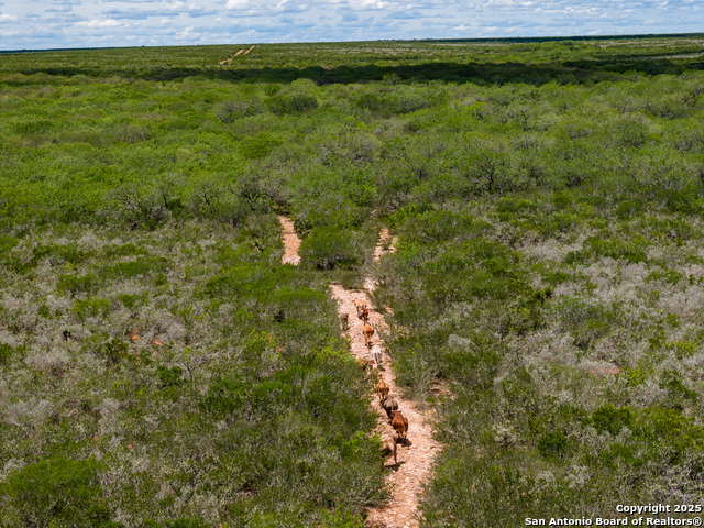 Image 13 of 50 For 4700 Fm -3196