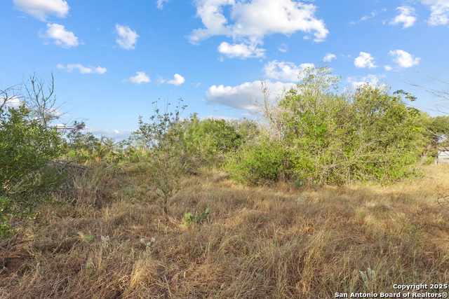 Listing photo id 4 for 5835 Hardy Rd