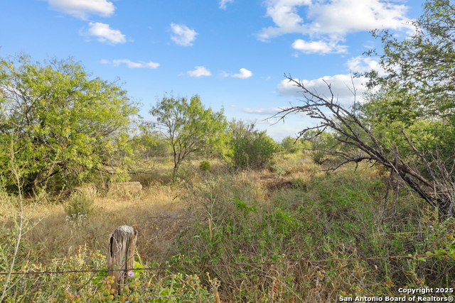 Listing photo id 5 for 5835 Hardy Rd