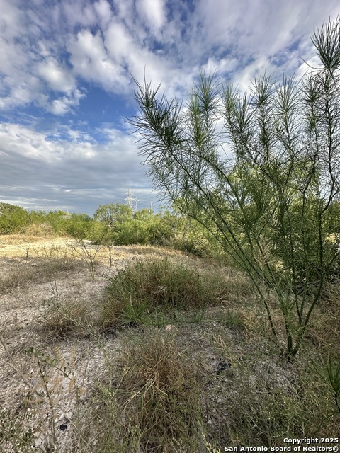 Image 6 of 6 For 718 Hampton  