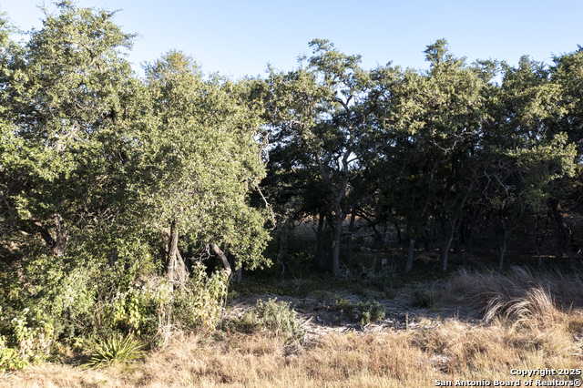 Image 8 of 14 For 4246 Richmond Ave