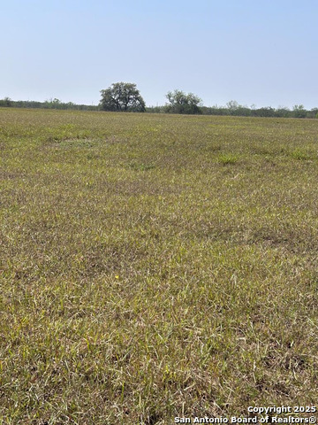 Image 18 of 20 For 000 Fm 888