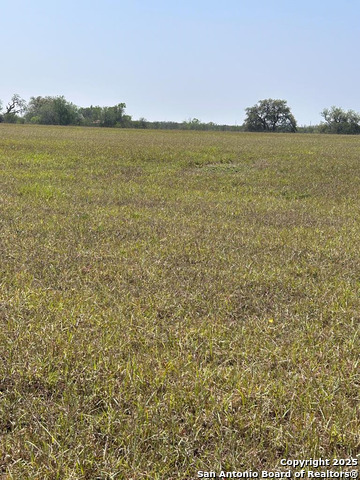 Image 19 of 20 For 000 Fm 888