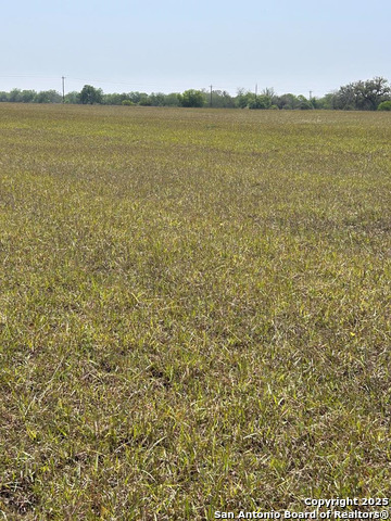 Image 20 of 20 For 000 Fm 888