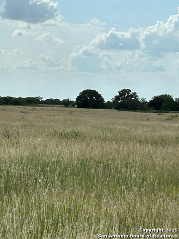 Image 7 of 20 For 000 Fm 888