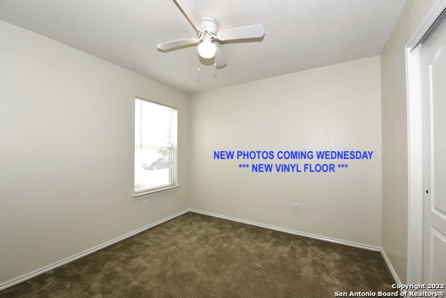 Image 13 of 29 For 10142 Dixon Wood