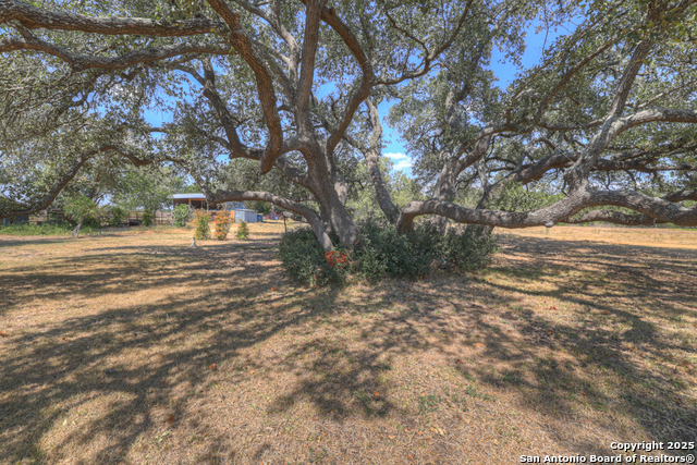Image 50 of 50 For 255 Brehm Ln