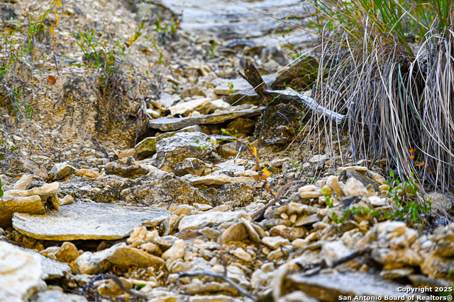 Image 17 of 50 For 417 Sparkling Springs