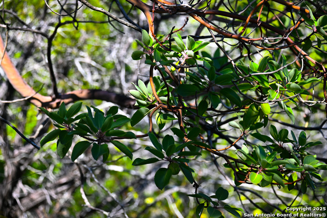 Image 19 of 50 For 417 Sparkling Springs