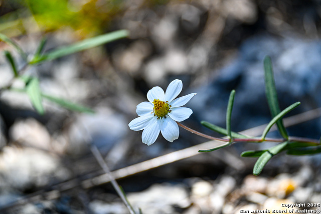 Image 20 of 50 For 417 Sparkling Springs