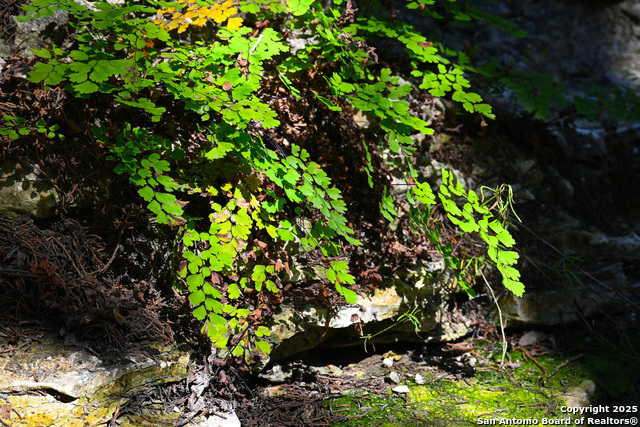 Image 24 of 50 For 417 Sparkling Springs