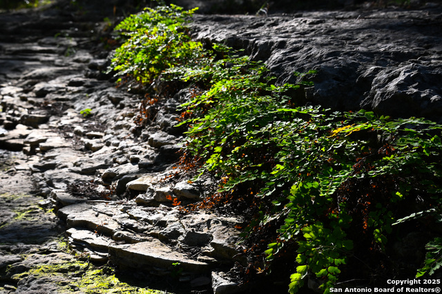 Image 28 of 50 For 417 Sparkling Springs