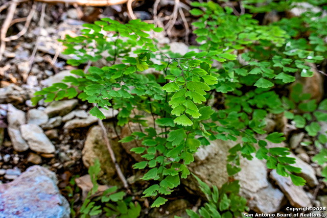 Image 31 of 50 For 417 Sparkling Springs