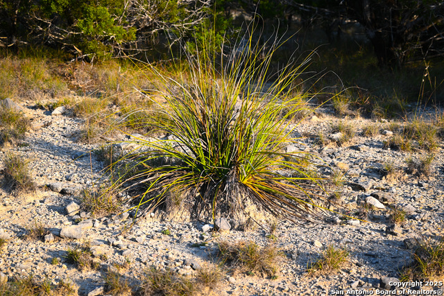 Image 43 of 50 For 417 Sparkling Springs