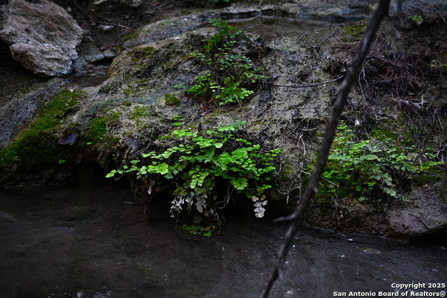 Image 44 of 50 For 417 Sparkling Springs