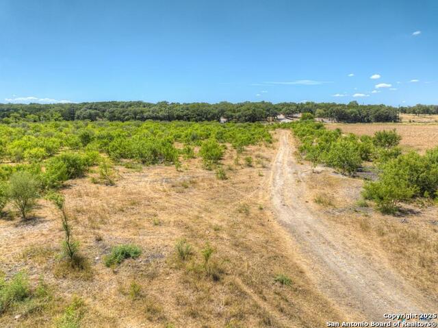 Listing photo id 13 for 22031a Old Nacogdoches