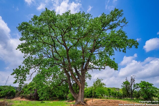Image 10 of 22 For - N State Hwy 16