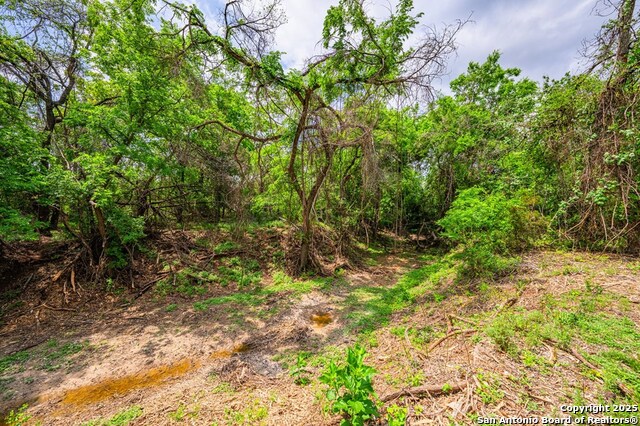 Image 11 of 22 For - N State Hwy 16