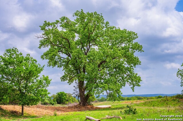 Image 13 of 22 For - N State Hwy 16