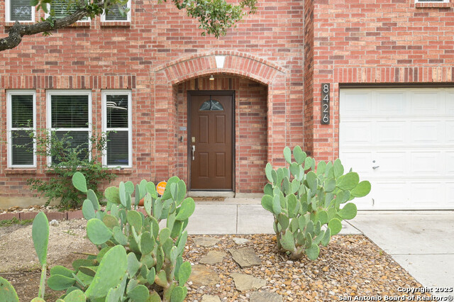 Listing photo id 1 for 8426 Cross Spring