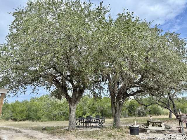 Image 10 of 47 For Tbd Cr 325  