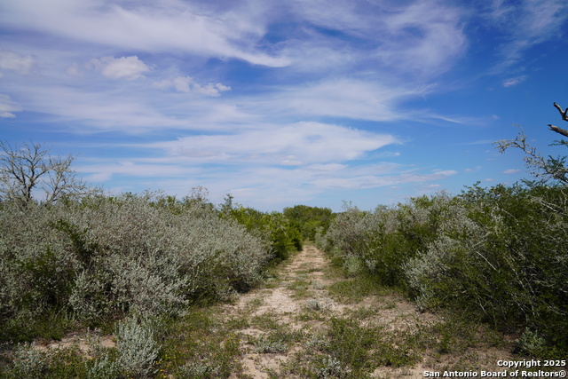 Image 4 of 47 For Tbd Cr 325  