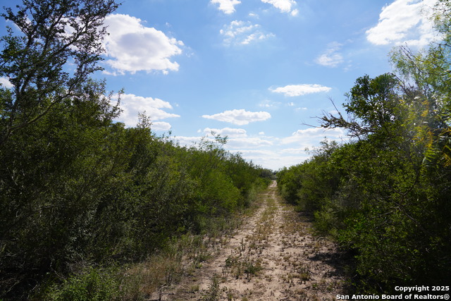 Image 42 of 47 For Tbd Cr 325  