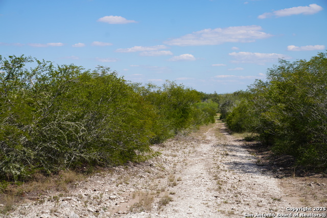 Image 45 of 47 For Tbd Cr 325  