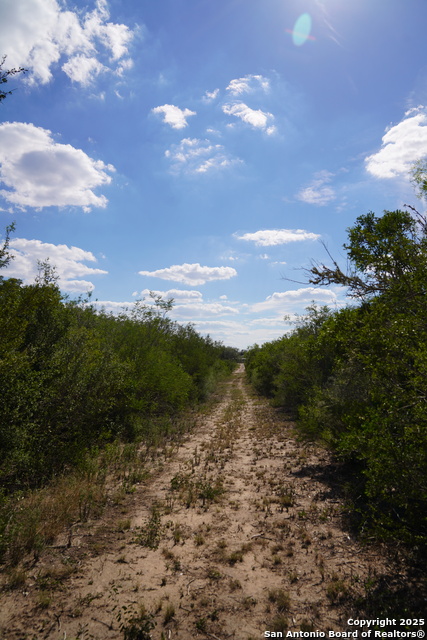 Image 47 of 47 For Tbd Cr 325  