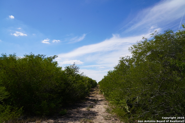 Image 5 of 47 For Tbd Cr 325  