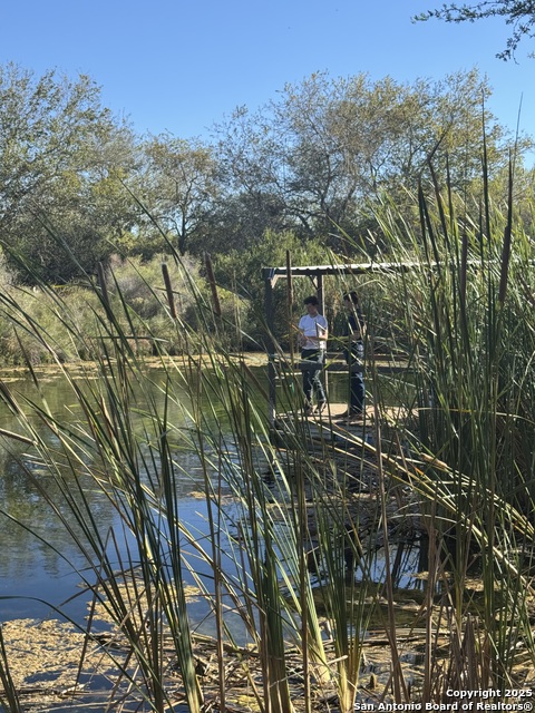 Image 7 of 47 For Tbd Cr 325  