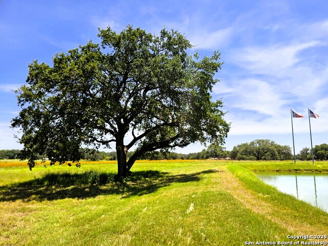 Listing photo id 11 for 803 County Road 6612