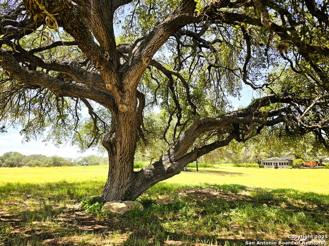 Listing photo id 28 for 803 County Road 6612